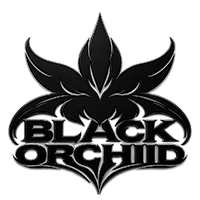 Black Orchid Logo